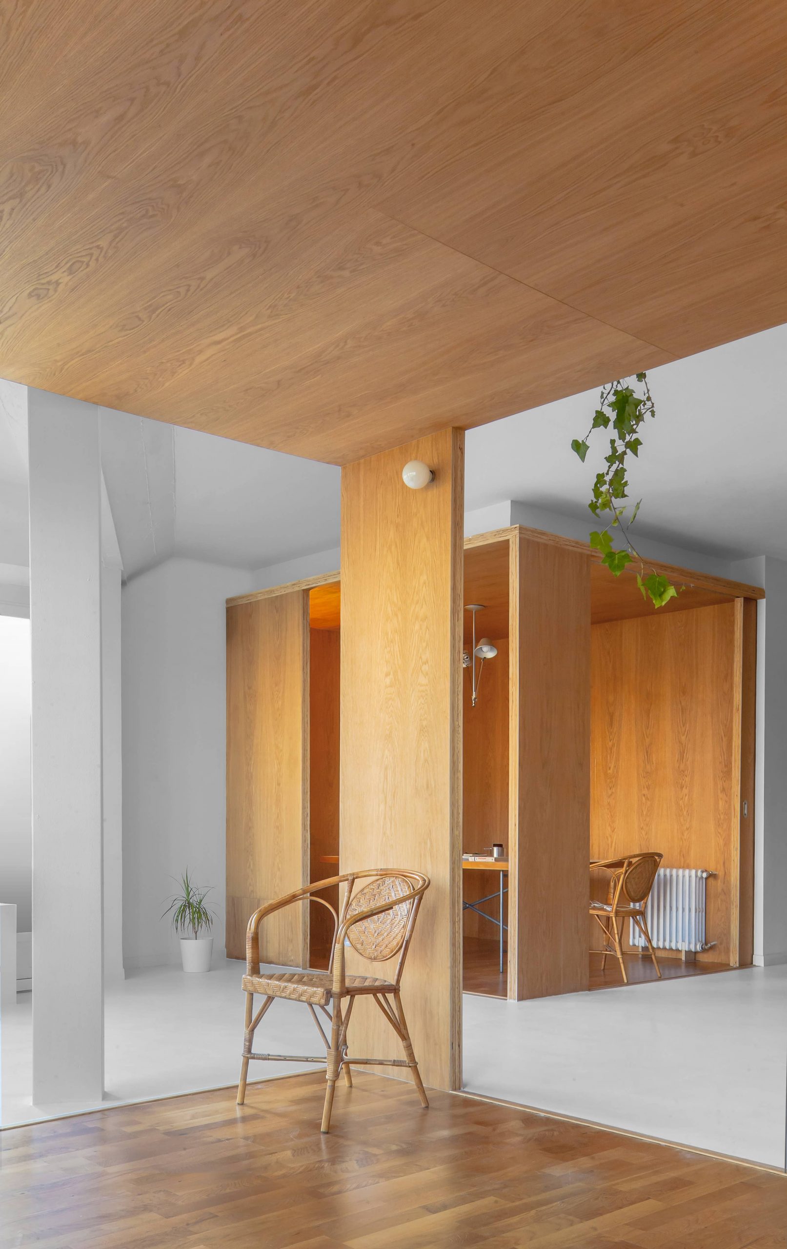 Sala de estar de la rehabilitación arquitectónica del apartamento extenso-intenso en Barcelona